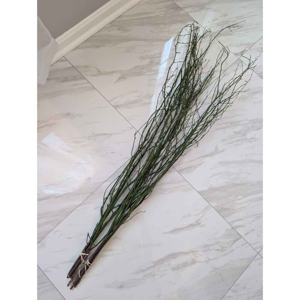 47in Green Coated Reeds Bundle x10 Branches